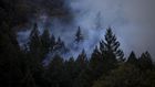 New Threats Put Wildfire Fighters' Health on the Line