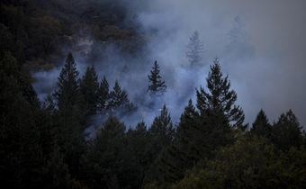 New Threats Put Wildfire Fighters' Health on the Line