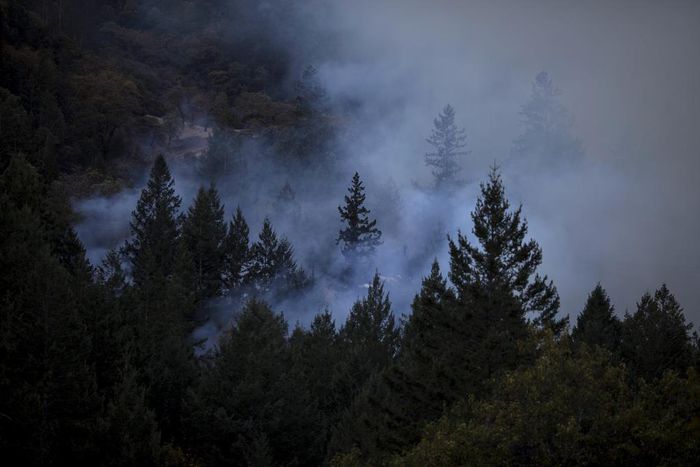 New Threats Put Wildfire Fighters' Health on the Line