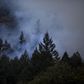 New Threats Put Wildfire Fighters' Health on the Line