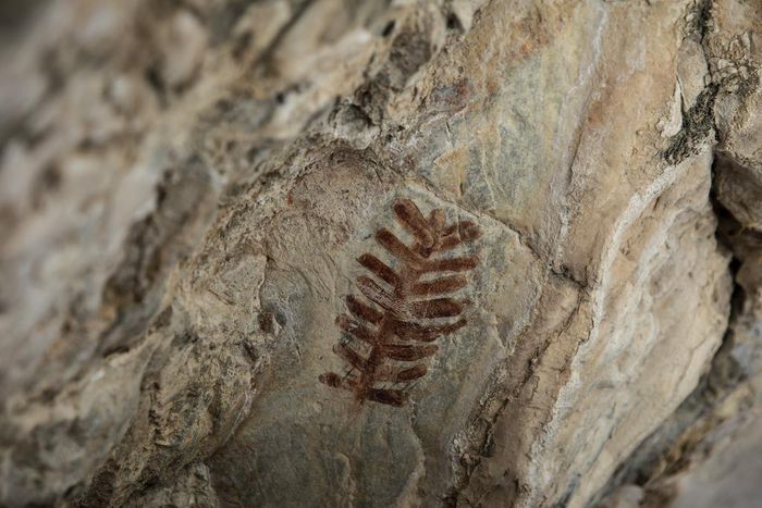 A Battle Over Land Between the Military and a State That 'Has Given Enough'