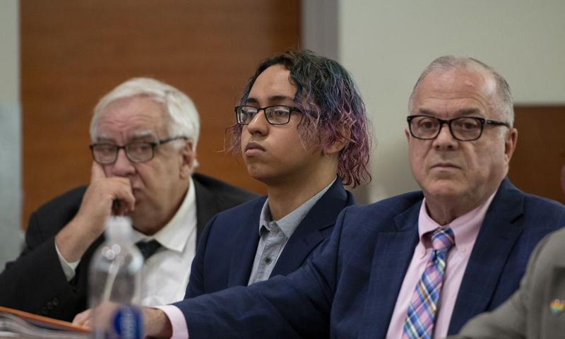 Bullied for Being Gay: Teen's Defense in High School Killing