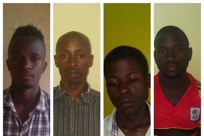 ___9107300___2018___11___15___10___thieves