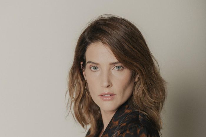 How Cobie Smulders Met Her New Role