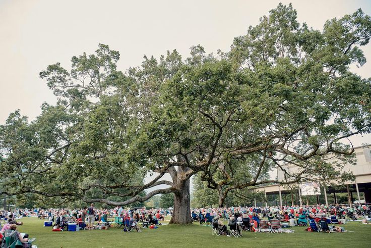 After Decades of Music, Tanglewood Talks