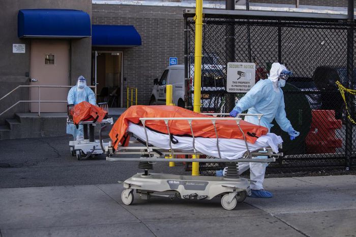 Virus Toll in N.Y. Shows Signs of Leveling Off