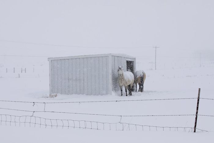 Nursing Home Closed; a New One Was Hours Away