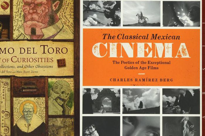 Love 'Roma'? Here are 3 books that explore Mexican cinema