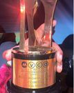 Pascal Tokodi wins coveted award at Africa Magic Viewers' Choice Awards (AMVCAs)