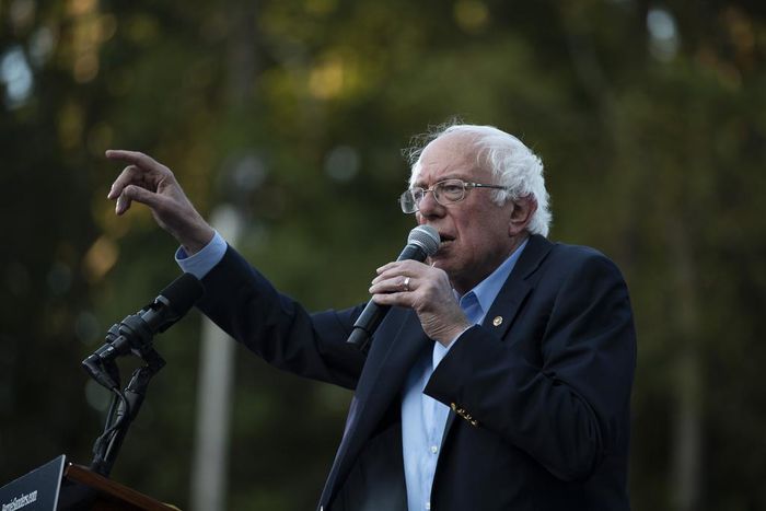 Bernie Sanders Calls for Eliminating Americans' Medical Debt