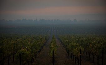 PG&E to Shut Off Power for Nearly 1 Million Customers as Californians Flee Fires
