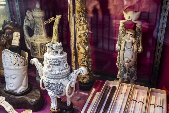 Hong Kong, Crossroads of the Criminal Wildlife Trade