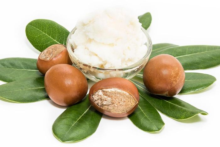 Shea butter (np-d)