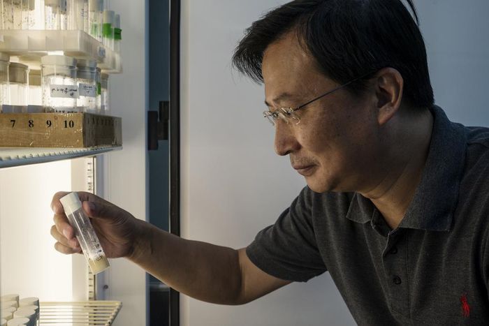 China's Lavish Funds Lured U.S. Scientists. What Did It Get in Return?