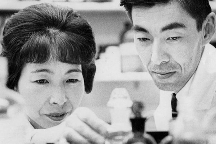 Dr. Teruko Ishizaka, who found a key to allergies treatment, dies at 92