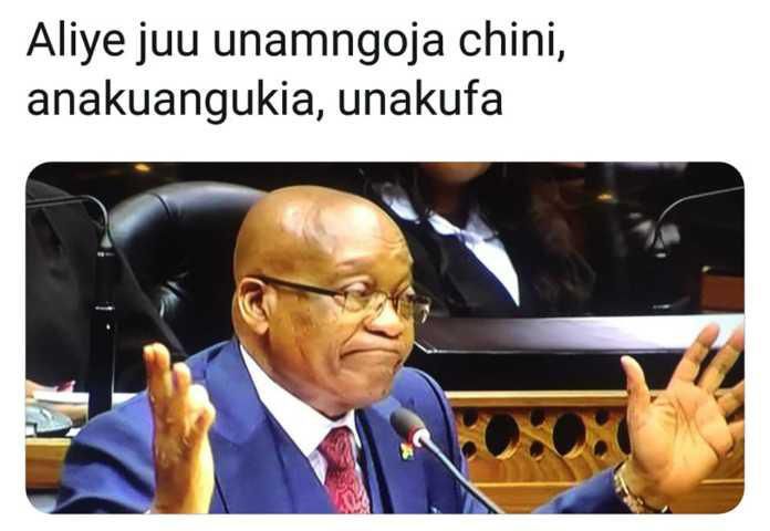 Hilarious phrases that made funny memes