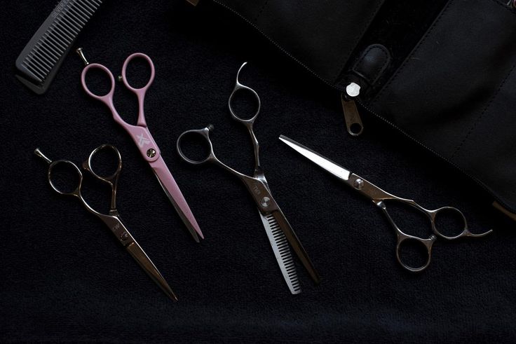 The Entire Chorus Will Be Sharp