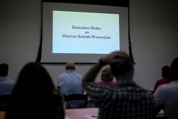 Program to Prevent Veterans Suicide Earns Bipartisan Support