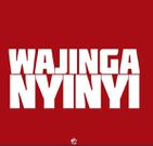 Kenyans roast Bahati, Caroline Mutoko over King Kaka’s ‘Wajinga Nyinyi’ as calls for Revolution Now dominate Twitter