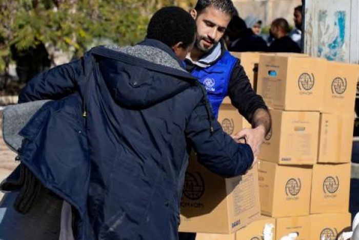 International Organization for Migration (IOM)