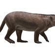Colorado Fossils Show How Mammals Raced to Fill Dinosaurs' Void