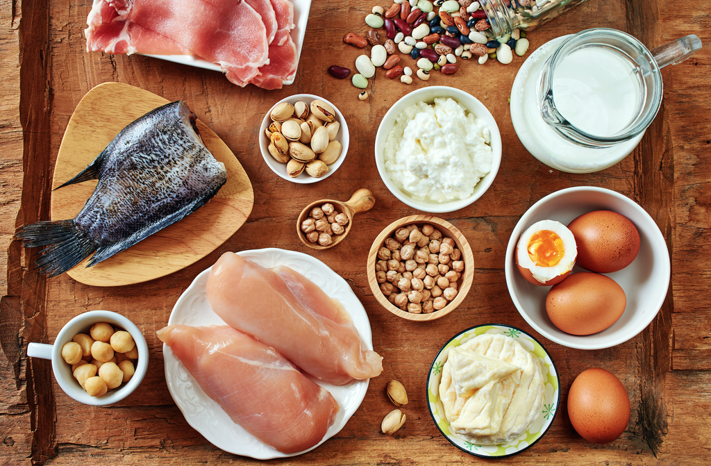 The Very Latest Science on the Powers of Protein