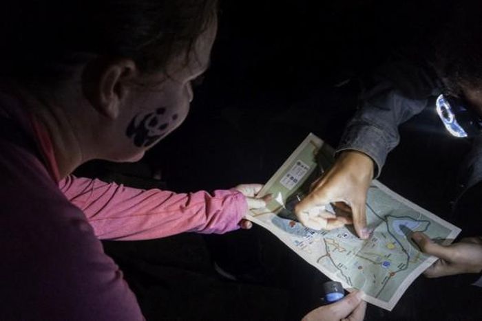 World Wide Fund for Nature (WWF)