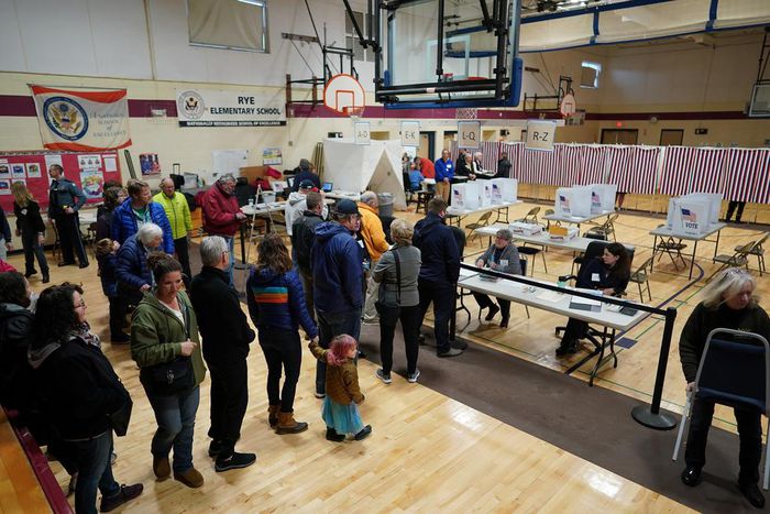 New Hampshire Primary Sets a Record for Turnout, but It May Be Deceiving