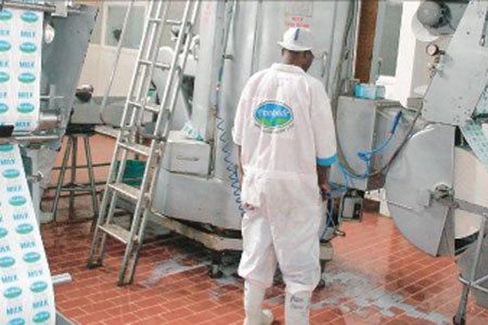 Employee of Brookside Dairy