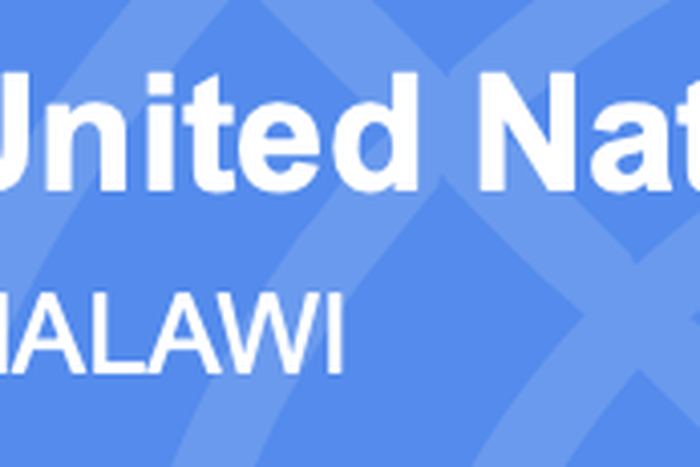 UN Country Team in Malawi