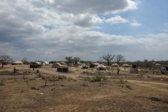 International Organization for Migration (IOM)