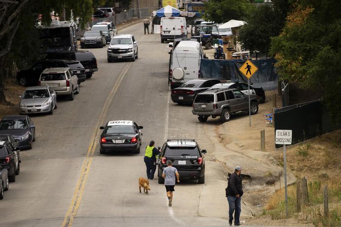 California Festival Shooting: Two Children Among the Dead