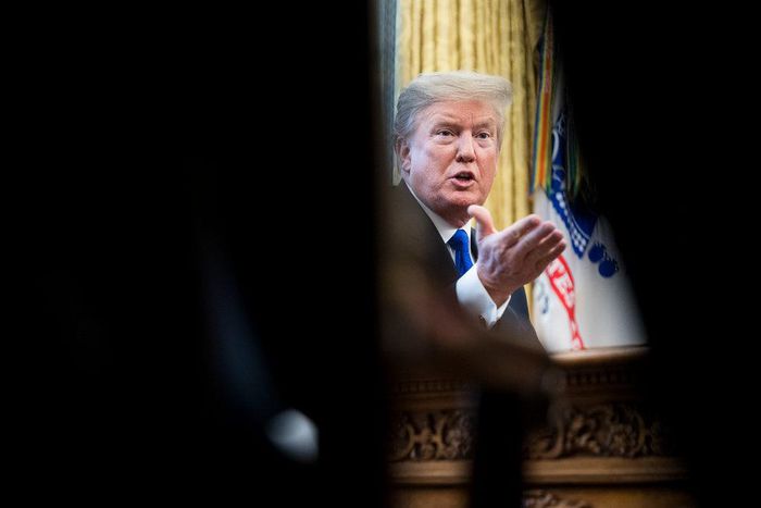 Trump, trade and the advantage of autocrats