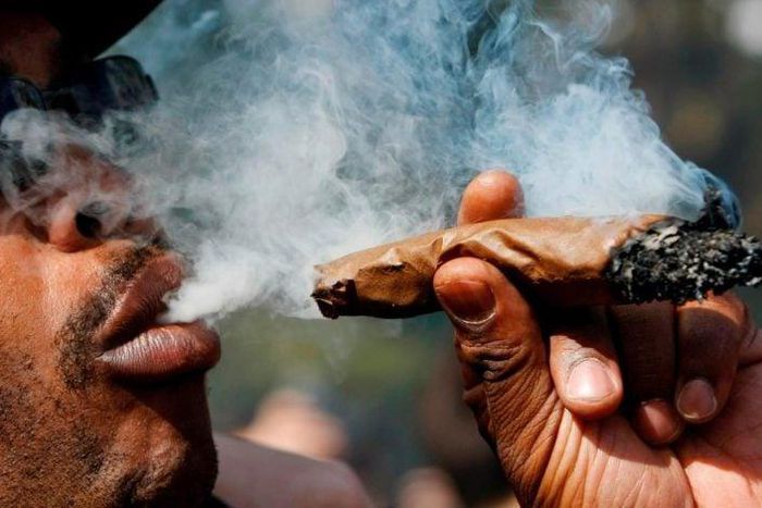 83 people arrested at a bhang competition (Courtesy)