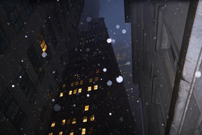 Where's the Snow? In New York City, Winter Doesn't Seem Like Its Usual Self