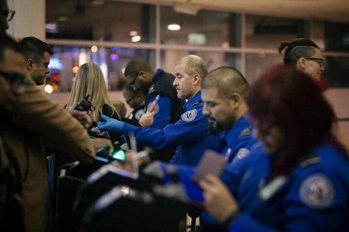 TSA Screeners, Working Without Pay, Are Calling Out Sick