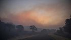 Should You Wear a Face Mask for Wildfire Smoke?