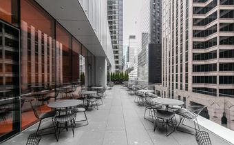 Braving MoMA: What to Know Before You Enter