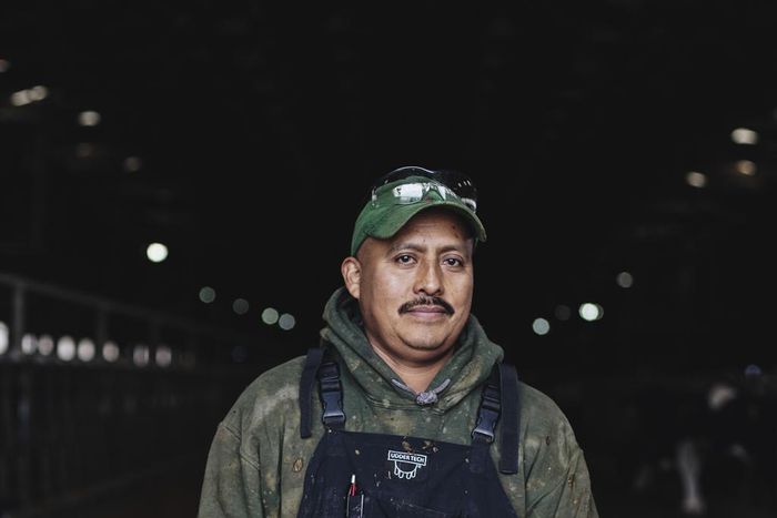 ICE Raid at New York Dairy Farm Sends Shivers