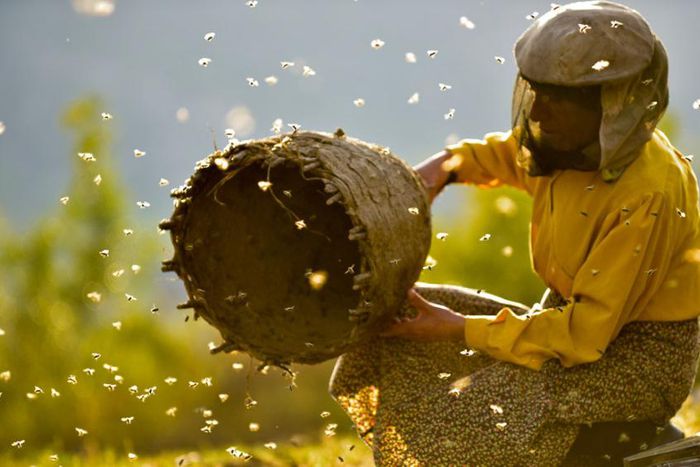 11 movies worth a look [variety]