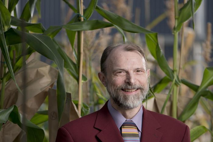 Joachim Messing, 73, Who Charted the DNA of Viruses and Plants, Dies