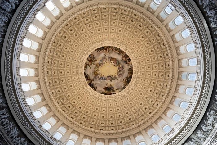 No Longer the Center of Attention