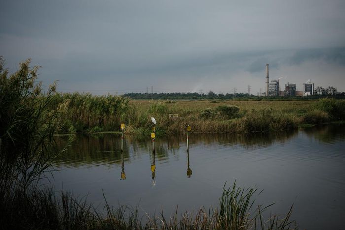 Trump Plan Would Weaken Rules Protecting Wetlands From Pollutants
