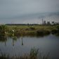 Trump Plan Would Weaken Rules Protecting Wetlands From Pollutants