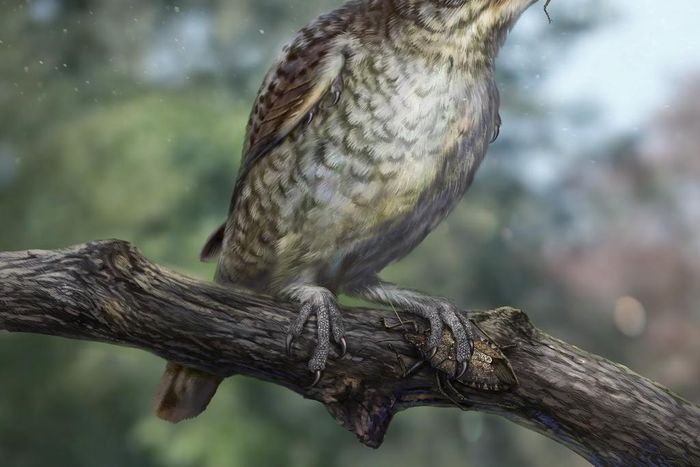 Birds of a Feather May Stick Together, but This Bird's Foot Got Stuck in Amber