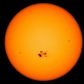Sunspots and Stranded Whales: A Bizarre Correlation