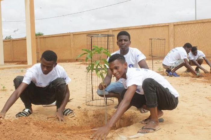 International Organization for Migration (IOM)