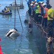 Vehicle that plunged into Indian Ocean recovered