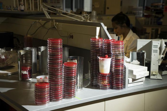 New Genomic Tests Aim to Diagnose Deadly Infections Faster