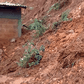 Deaths reported, scores displaced after tragic landslide in Makueni